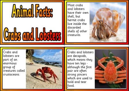 Free printable crabs and lobsters information cards