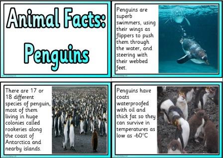 Free printable Penguins information fact cards