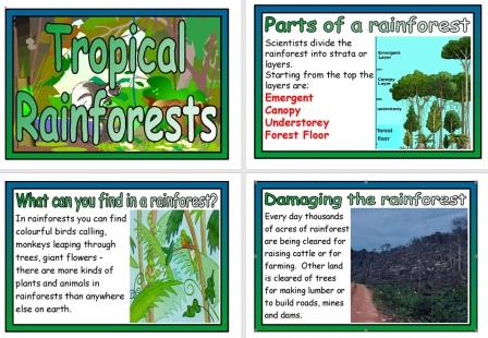 Free Printable Rainforests Geography Posters