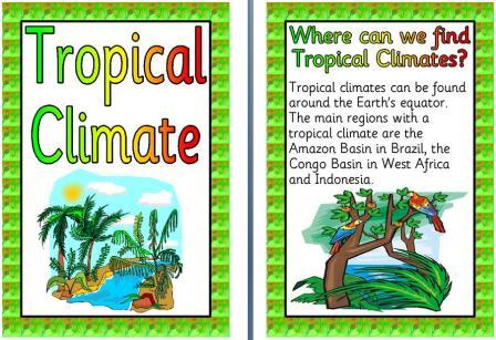 Free Printable Tropical Climate Posters Display Set