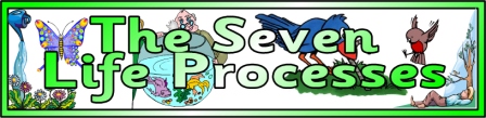 Free 7 Life Processes Banner