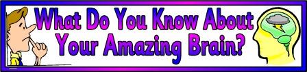 Free downloadable, What do you know about your amazing brain?' printable banner for classroom display.