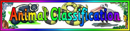 Free Animal Classification Banner