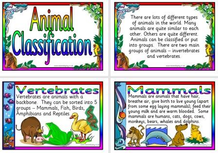 Free Science Teaching Resource Animal Classification