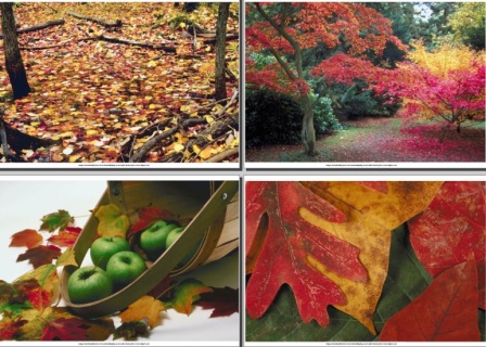 Printable Autumn Photographs for Display