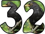 Free printable Blackbird background instant display lettering sets for classroom bulletin board display.