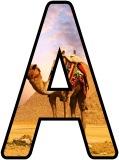 Free printable Camel in front of the Pyramids in Egypt instant display lettering sets for classroom display.