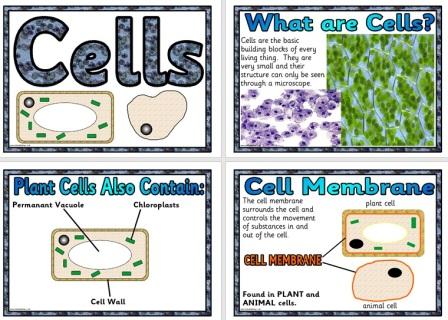Free Science Teaching Resources Cells Posters