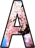 Cherry Blossom background display letters to print out