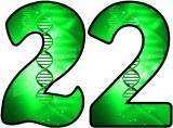 Free DNA Biology lettering, digital letters, display lettering sets