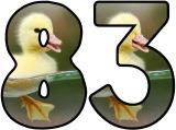 Free printable Duckling background instant display digital lettering sets for classroom display.