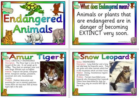 Free Printable Endangered Animals Display Poster Set