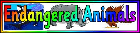 Endangered Animals Banner