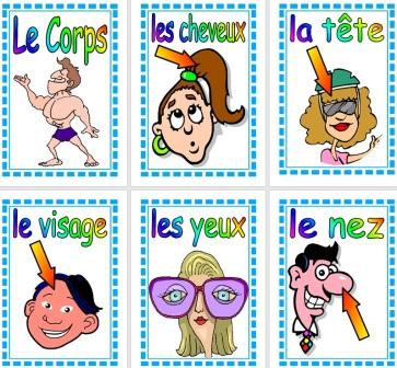 Free Printable MFL French Teaching Resource French The Body