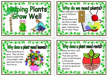 Free Printable Helping Plants Grow Well Posters