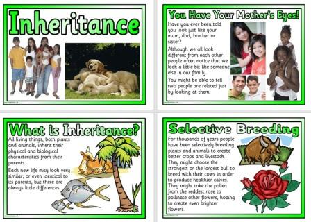 Free Inheritance Poster Set