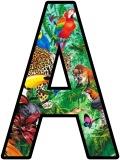 Free printable Jungle, Rainforest animals instant display lettering sets for classroom bulletin board display.