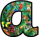 Free printable Jungle, Rainforest animals instant display lettering sets for classroom bulletin board display.