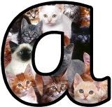 Free printable kittens background instant display lettering sets for classroom bulletin board display.