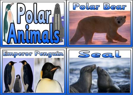 Free printable Polar Animals match descriptions to names and photos
