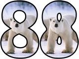 Free printable Polar Bear background instant display lettering sets for classroom bulletin board display.