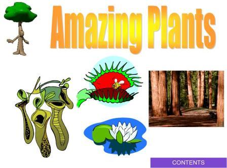 Amazing Plants PowerPoint Presentation