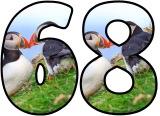 Puffin background free printable digital number sets for classroom display.
