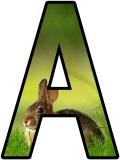 Free printable digital classroom display letters - rabbits
