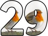 Free printable digital lettering sets for classroom display with a European Robin background.