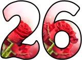 Free printable Red Rose background instant display digital lettering and number sets for classroom bulletin board display.