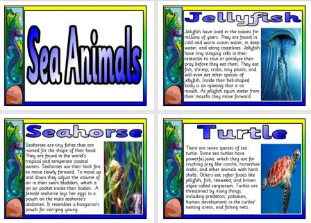 Free Science Posters Sea Animals