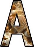Free printable sea shell lettering for classroom bulletin board display.