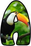 Free printable instant display digital lettering sets with a Toucan background.