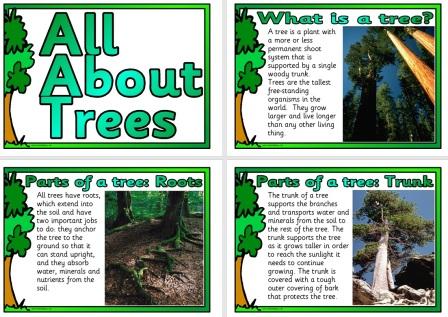 Free Science Posters About Trees