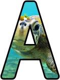 Free printable Sea Turtles background instant display lettering sets for classroom display.