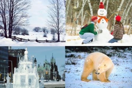 Free Printable Winter Photographs for Classroom Display